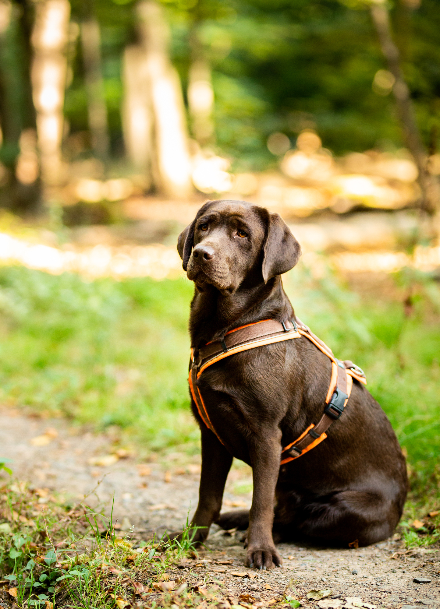 200914 Luna-3